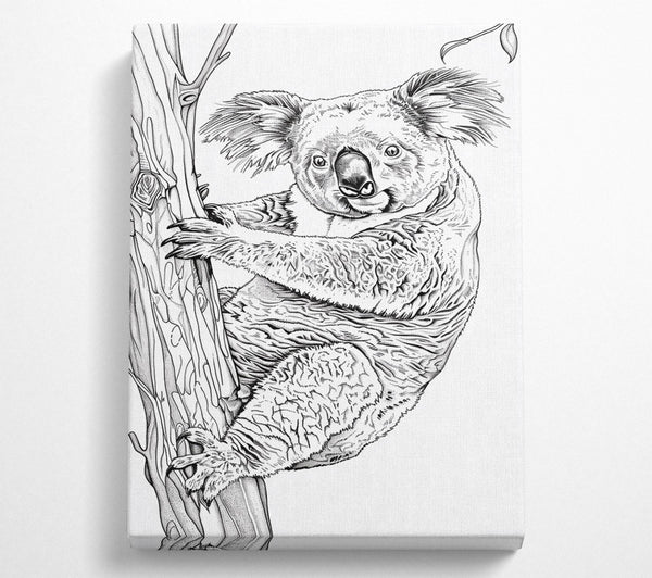 Black And White Koala Hugging Tree