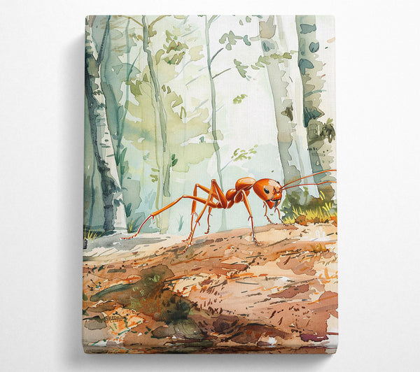 Orange Ant In The Woods