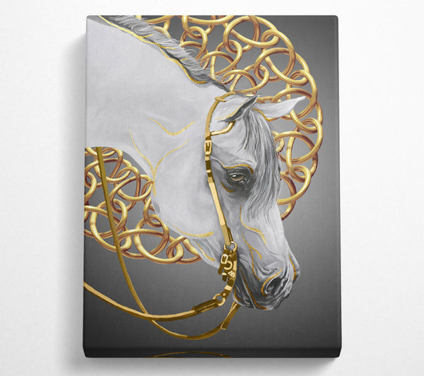 Gold Chains On White Horse