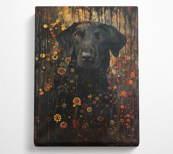 Black Dog In Bloom