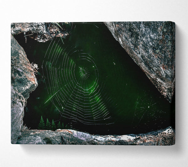 Emerald Web Trap