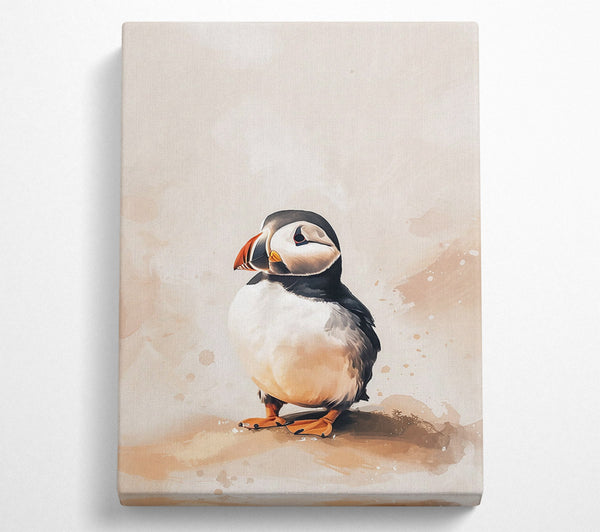 Beige Puffin Portrait