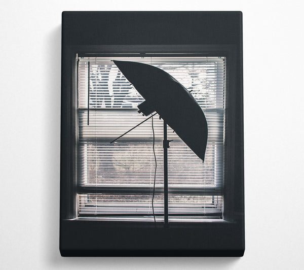 Black Umbrella At The Window