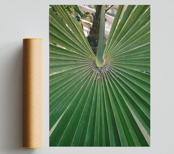 Emerald Palm Fronds