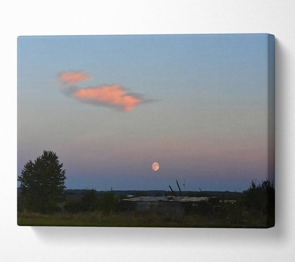 Pink Moonrise Over Field