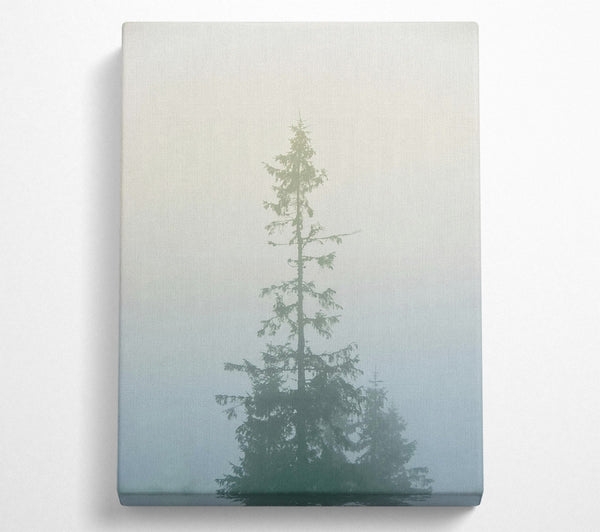 Pale Green Foggy Pine