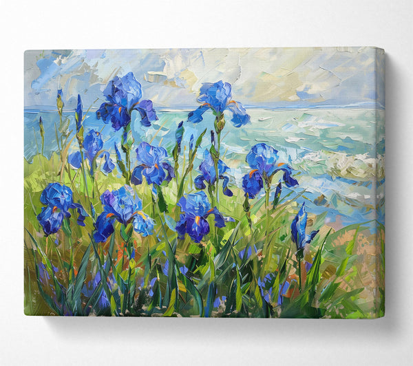 Azure Irises By The Sea