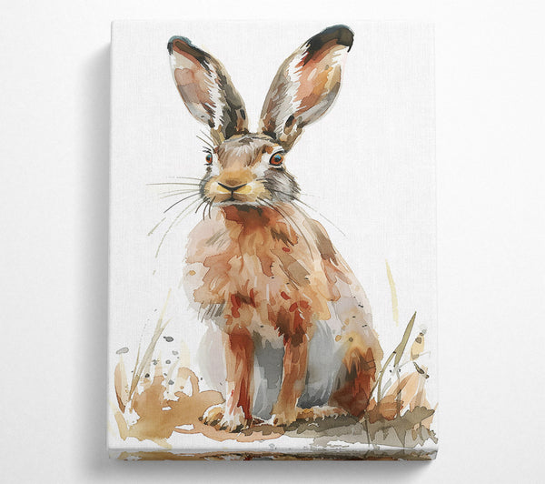 Golden Brown Hare