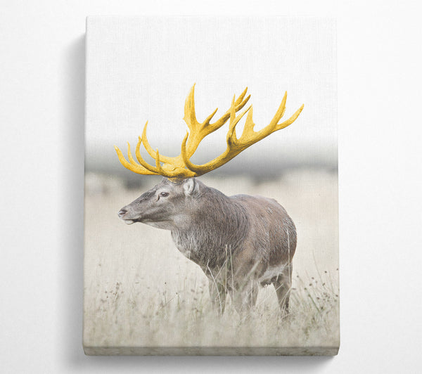 Gold Stag Looking