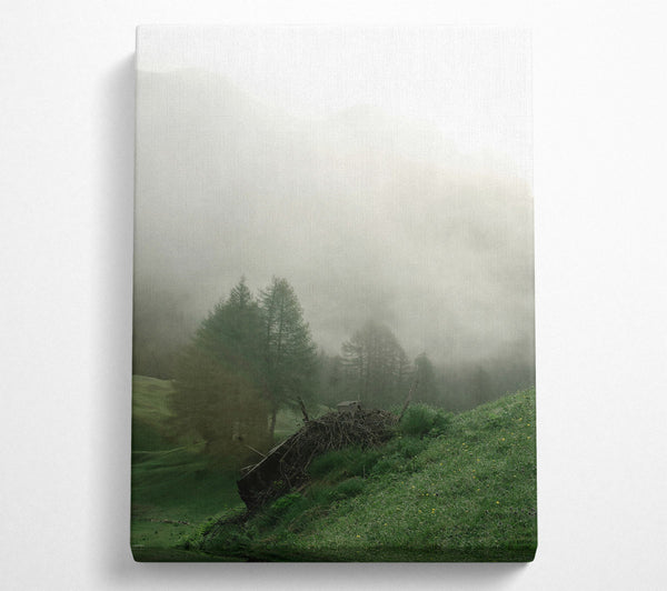 Green Mist Enveloped Hills