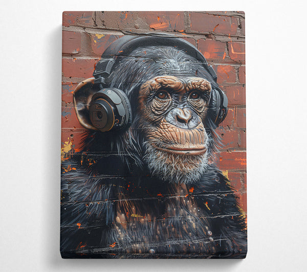 Black Chimp Listening