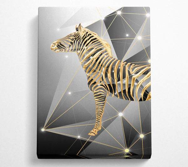 Golden Zebra