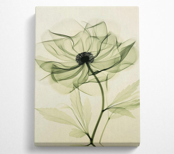 Green Abstract Flower