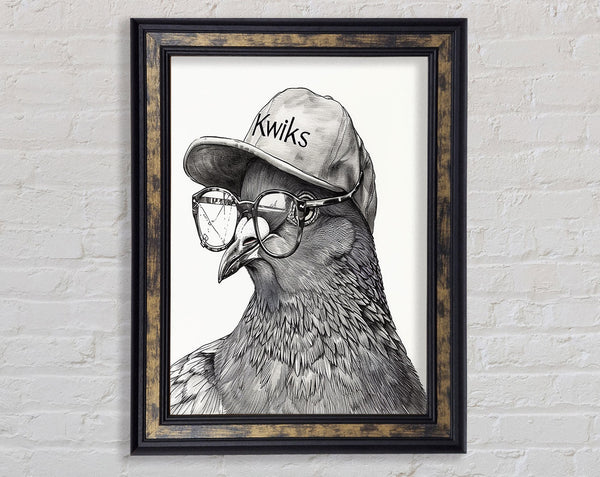 Hipster Pigeon