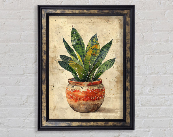 House Plant Ceramic