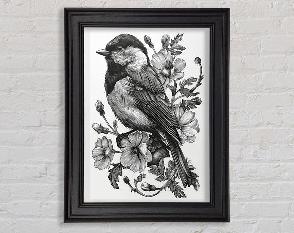 Intricate Black And White Bird