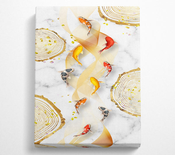 Koi Fish Abstract Swimming