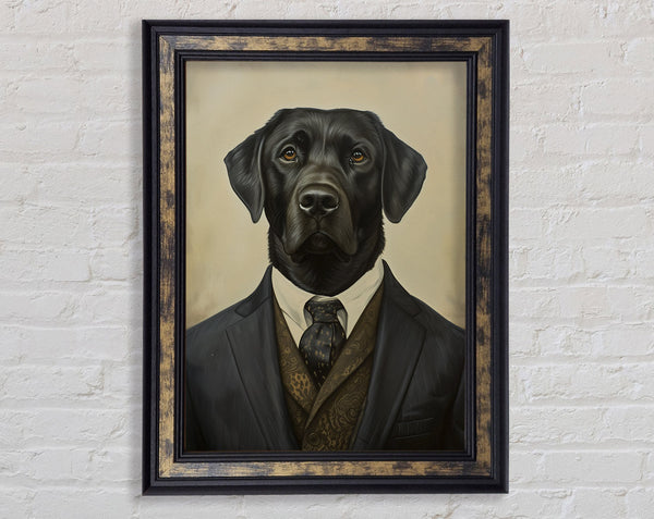 Labrador Suit