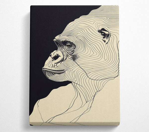 Lines Of. Gorilla