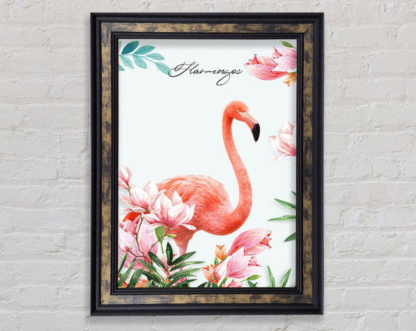 Lovely Flamingo