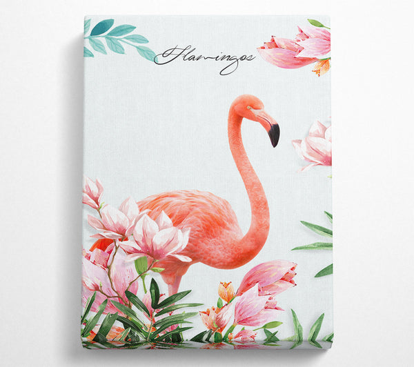 Lovely Flamingo