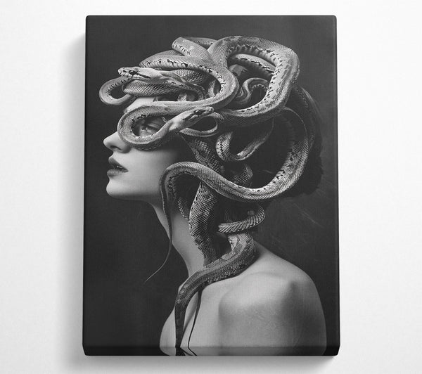 Medusa