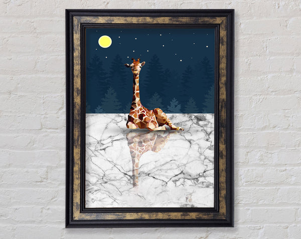 Midnight Giraffe