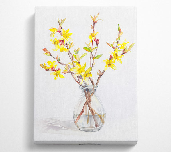 Mini Daffodils In A Vase