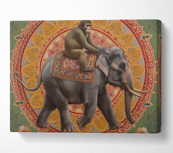 Monkey Elephant Ride