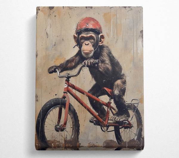 Monkey On A Bike