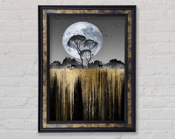 Moonlit Nature