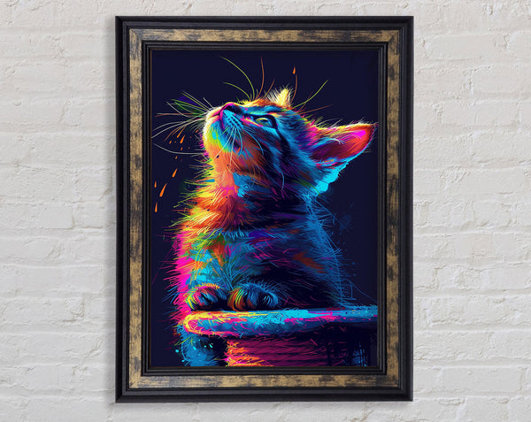 Neon Kitten Looking Up