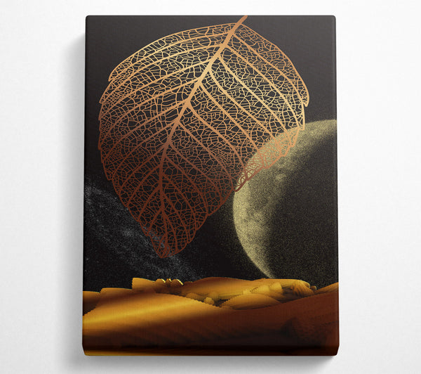 Orange Leaf In Space