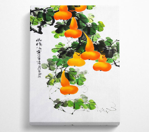 Oranges Hanging On Tree