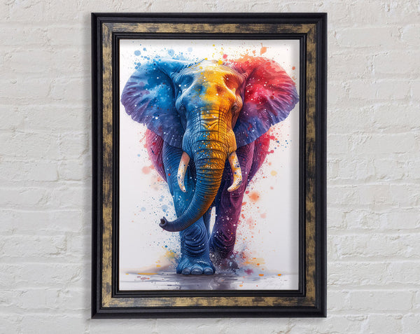 Paint Explosion Elephant