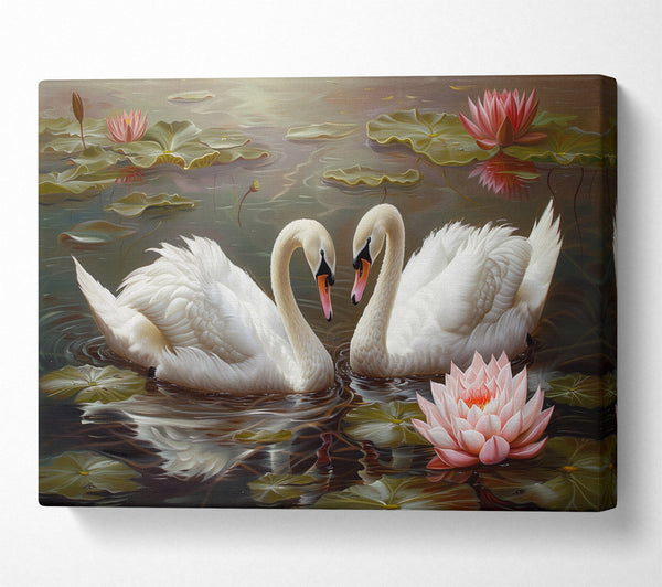 Pair Of Swans