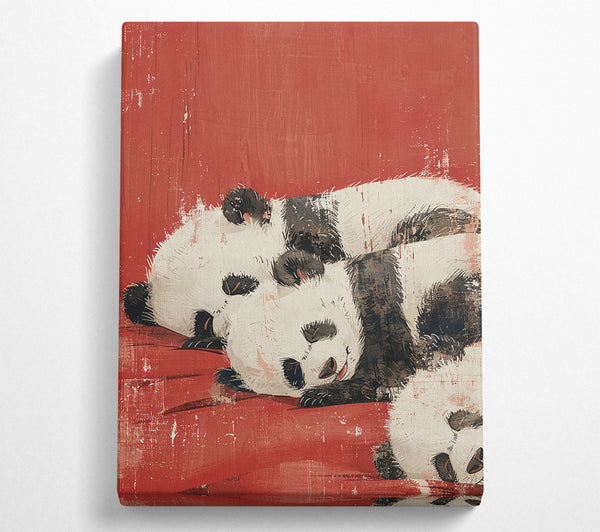 Panda Sleep