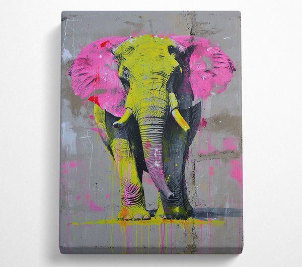 Pink And Yellow Elephant