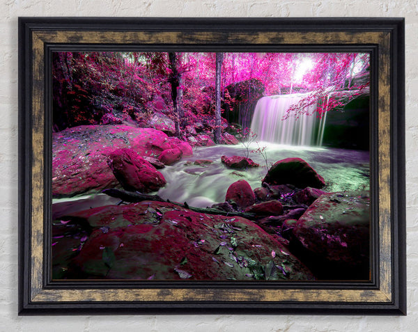 Pink Blossom Waterfall