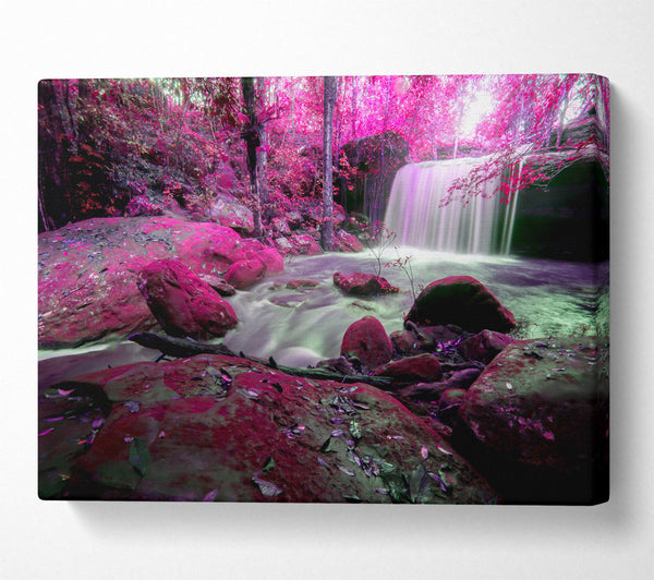 Pink Blossom Waterfall