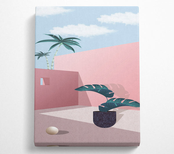 Pink Walls And Palm Tree