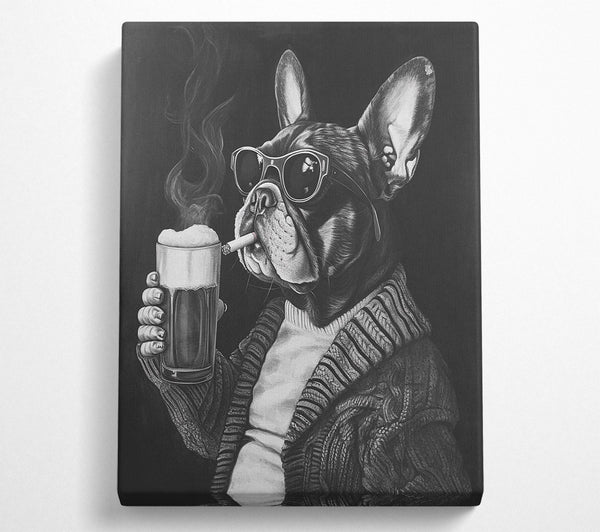 Pub Frenchie