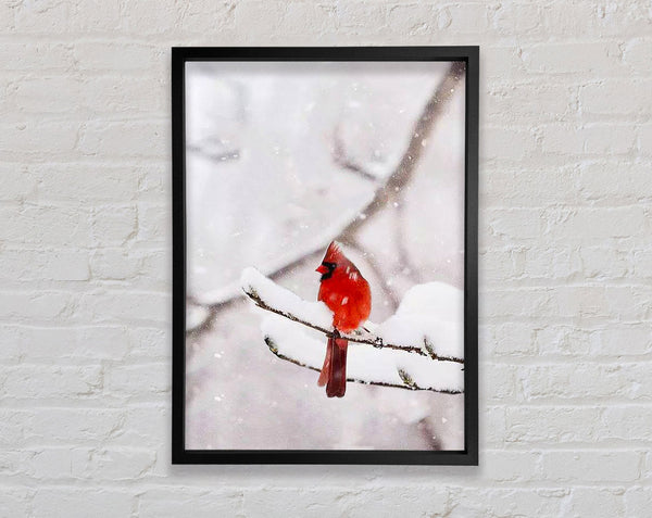 Red Cardinal Snowy