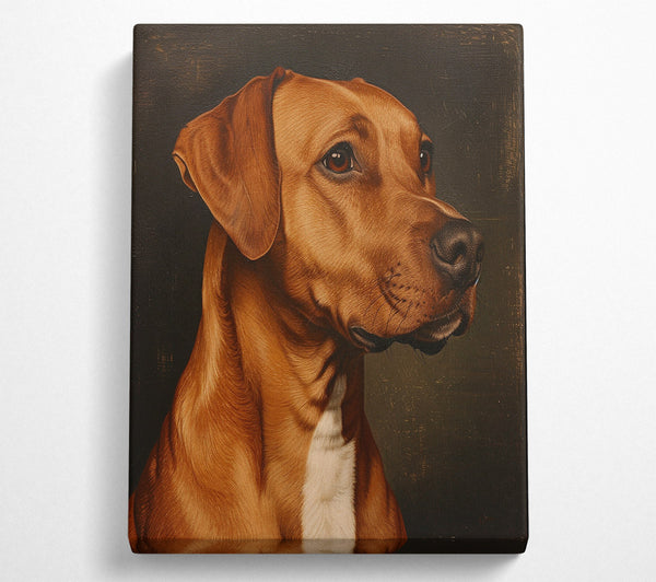 Rhodesian Ridgeback Oil Painting