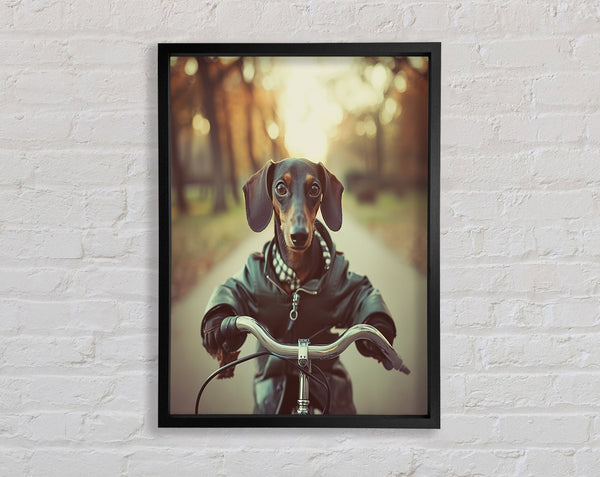 Sausage Dog Riding Bike