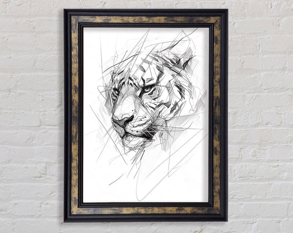 Sketch Tiger