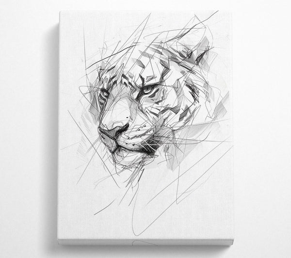 Sketch Tiger