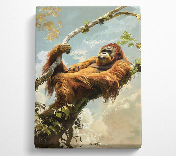 Sumatran Orangutan On A Branch