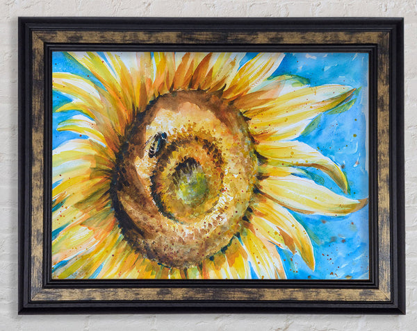 Sunflower Bee