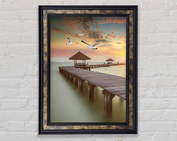 Sunset Walkway And Seagulls